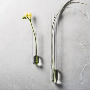 Nine CB2 Beaker Glass Tubes WallVases